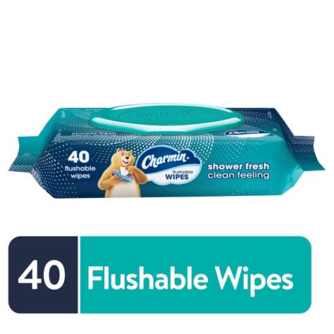 Charmin Flushable Wipes, 40 Flushable Wipes, 1 Count - Walmart.com