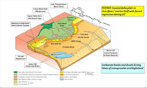 Schematic delta to shoreface facies and environmental setting adapted... | Download Scientific ...