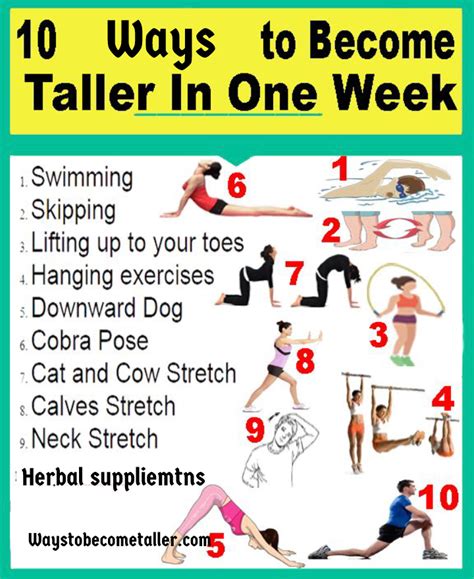 Here I discussed how to become taller in one week easily. Full Body Gym ...