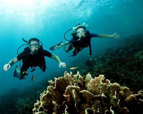 Go Scuba Diving In Andaman At These 15 Unexplored Sites In 2023!