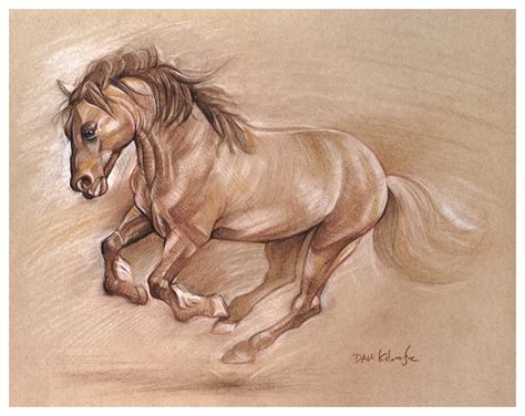 Mustang Horse Drawing at PaintingValley.com | Explore collection of Mustang Horse Drawing