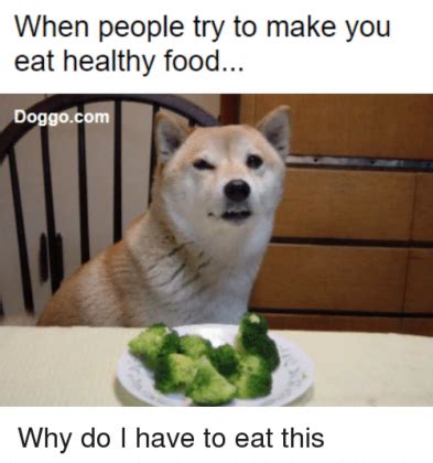 20 Funny Life Changing Eating Healthy Memes - SayingImages.com