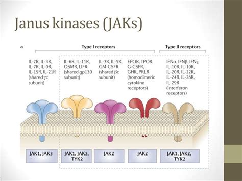 Janus kinase inhibitors