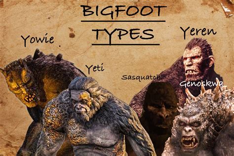 Bigfoot types | Bigfoot sightings, Bigfoot photos, Bigfoot