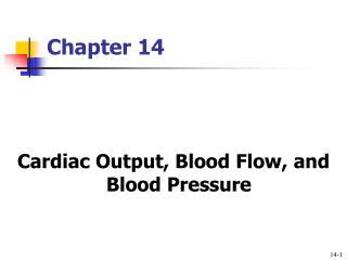 PPT - Cardiac Output, Blood Flow, and Blood Pressure PowerPoint ...