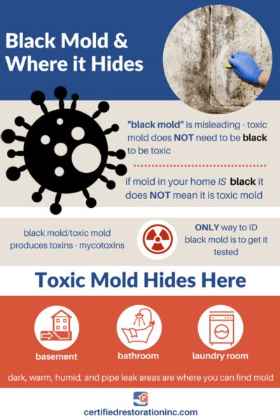 What are the symptoms of black mold exposure? | Water Damage ...