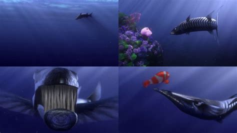 Finding Nemo - Barracuda by dlee1293847 on DeviantArt
