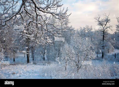 Russian winter landscape Stock Photo - Alamy