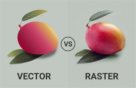 Vector vs Raster Graphics: What's the Difference? | Raster vs vector ...