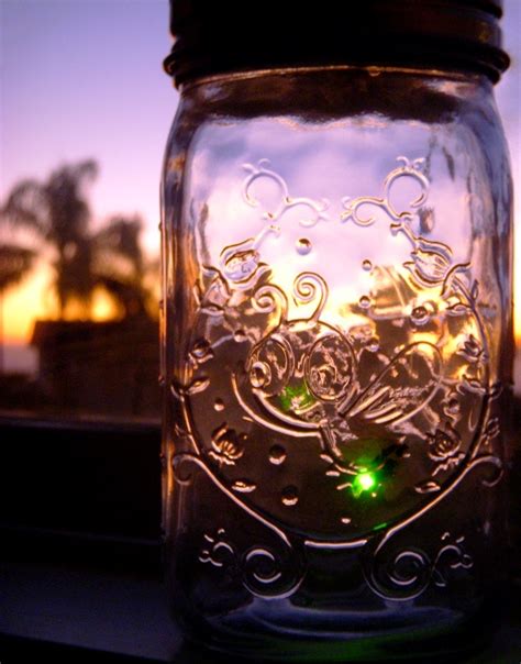 Firefly in a jar by DreamsCatchMe on DeviantArt