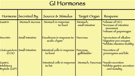 Hormones, Endocrine system, Endocrine