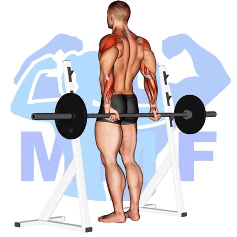 Barbell Rear Delt Raise: Your Simple Exercise Guide For Good Form