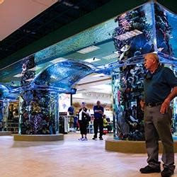 Scheels Aquarium | Reynolds Polymer