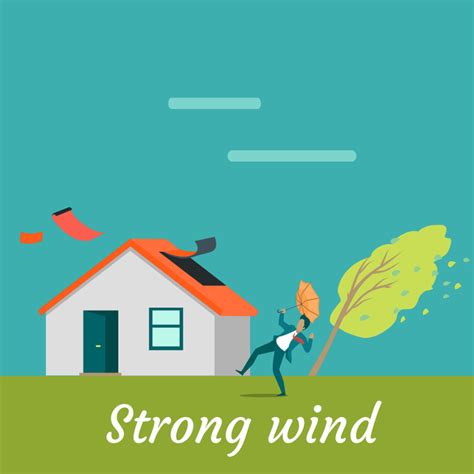 How to Spot Roof Damage from Wind: 2019 Guide - StormPros