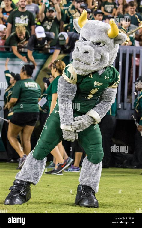 Tampa, Florida, USA. 5th September, 2015. USF mascot ''Rocky the Bull ...