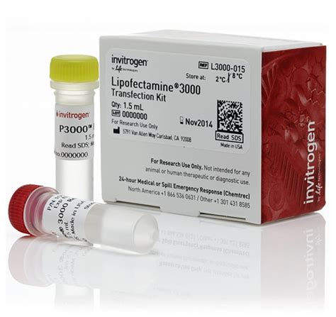 Lipofectamine 3000 Transfection Reagent - Thermo Fisher Scientific