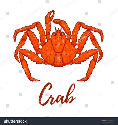 Illustration Japanese Spider Crab Design Element Stock Illustration ...