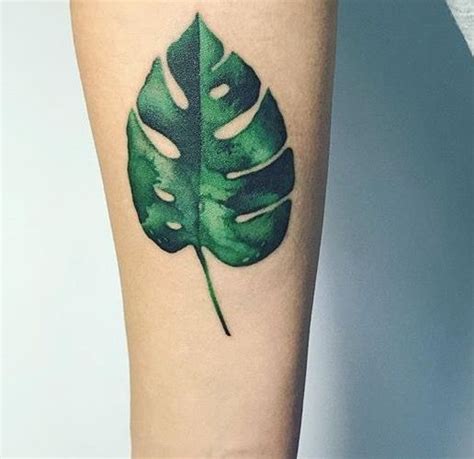 Monstera tattoo meaning