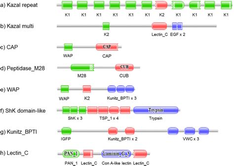 Examples of multi-domain architectures with similarity to venom-related... | Download Scientific ...