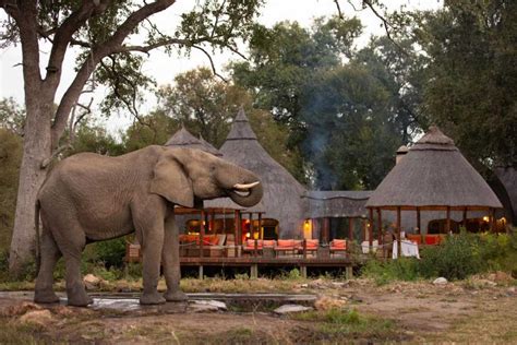 32 Safari Lodges in South Africa