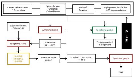 Treatment algorithm for protein losing enteropathy. DCMRL, dynamic ...