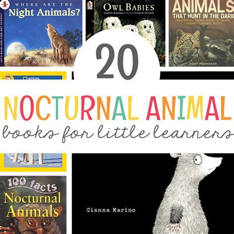 20 Nocturnal Animals Book List - Mrs. Jones Creation Station