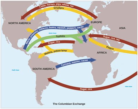 U.S. History, Early Globalization: The Atlantic World, 1492–1650, New Worlds in the Americas ...