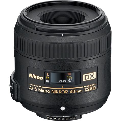 Best Nikon Macro Lenses - Daily Camera News