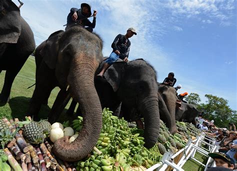 Photos | South China Morning Post