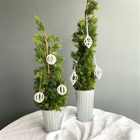 Lucia Christmas Cypress – Gift and Ware