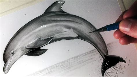 How to Draw a Dolphin - YouTube