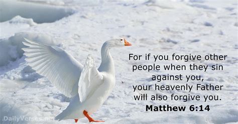 October 11, 2016 - Bible verse of the day - Matthew 6:14 - DailyVerses.net