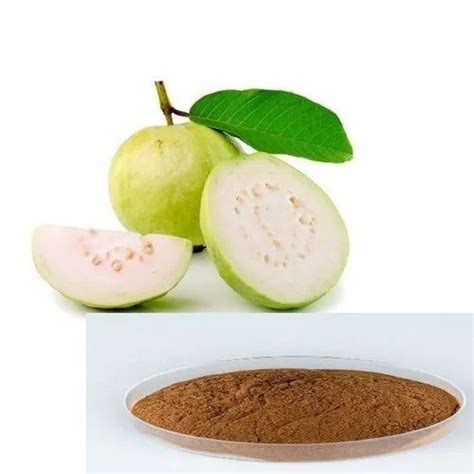 Guava Leaf Extract Powder, Packaging Size: 1 kg to 25 kg, Packaging Type: Drum, Rs 400/kg | ID ...