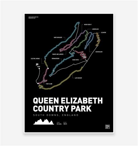 Queen Elizabeth Country Park Art Print – TrailMaps