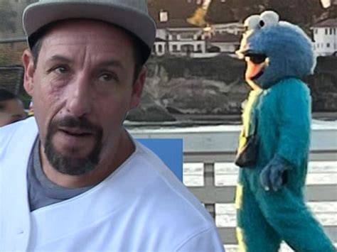 Man Named Adam Sandler Dressed In Cookie Monster Costume Harassing ...