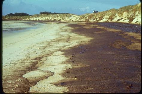 Amoco Cadiz - Shipwreck Log