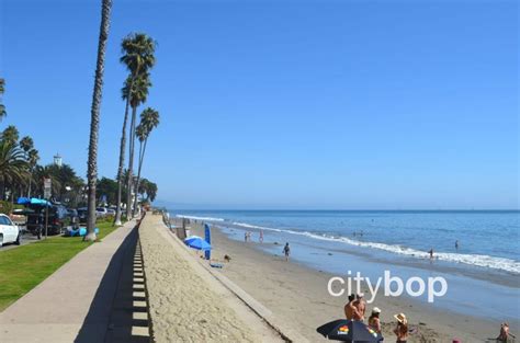 5 BEST Things about Butterfly Beach - CityBOP