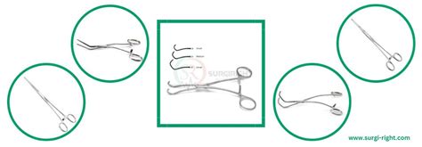 Surgical Clamps | All About Types of Vascular Clamps | Surgi Right