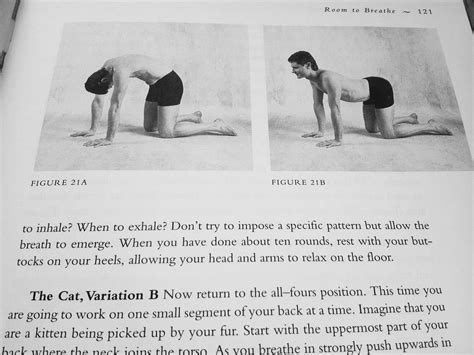 Proper Breathing, "The Breathing Book" Review - HathaYoga.com