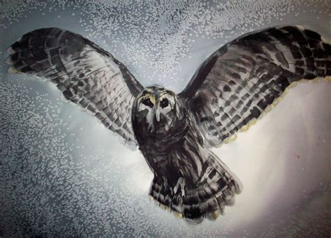 Arni's Art Blog: :OWL IN FLIGHT" Fri, 8-27-2010