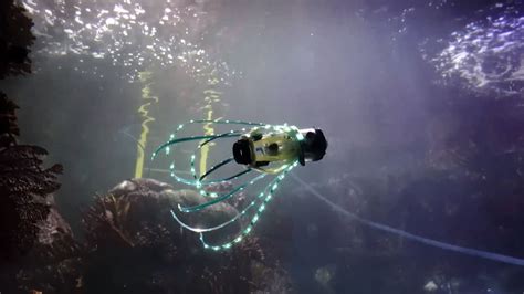 Engineers build an untethered squid robot for underwater exploration