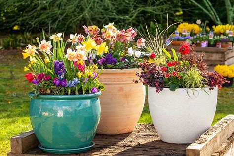 How to make beautiful flower pots at home | Better Homes and Gardens