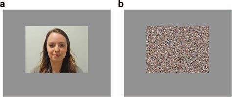 Examples of stimuli presented during fMRI scanning. Inside an fMRI ...