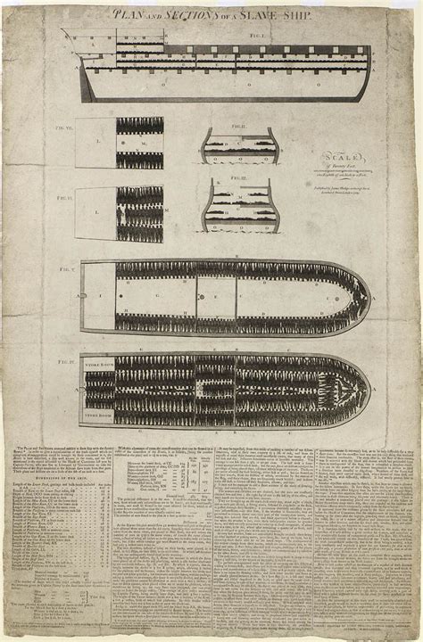 Plan and Sections of a Slave Ship [the 'Brooks' sometimes 'Brookes'] | Royal Museums Greenwich