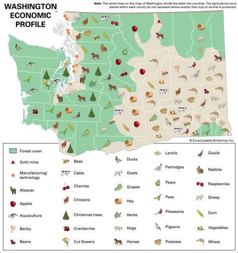 Economic Map For Kids