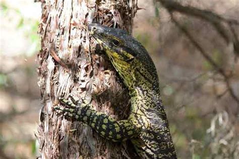 About Byron Bay Hinterland - Byron Bay Adventure Tours