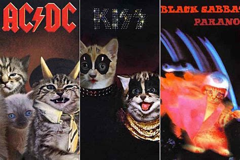 What If Kittens Were on Your Favorite Rock Album Covers?