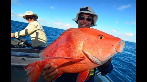 More Big Fish Kaos!! Deep sea fishing Video!! Great Barrier Reef!! Part 2!! - YouTube