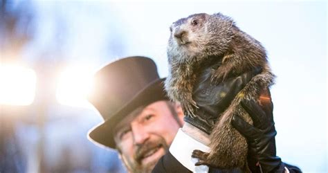 Groundhog Day 2023: Did Punxsutawney Phil See His Shadow?