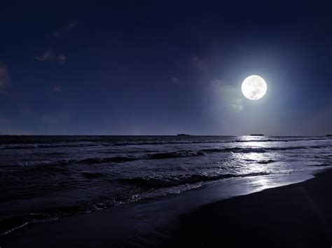 Premium Photo | Beach night scene with moonlight